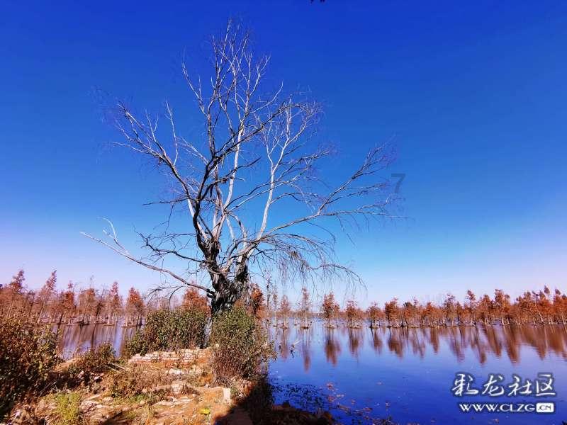 女乘客坐立不安险摔倒公交司机逆行闯红灯送医